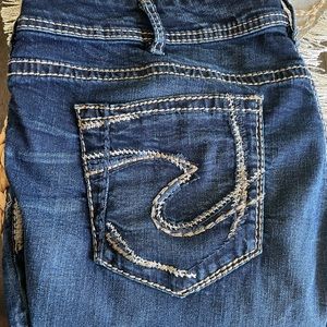 Woman’s Silver Jeans, Plus Size